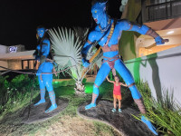 /album/fotogaleria-brazilia-zajazd-vy-a-my1/brazilia-zajazd-00-17-jpg/